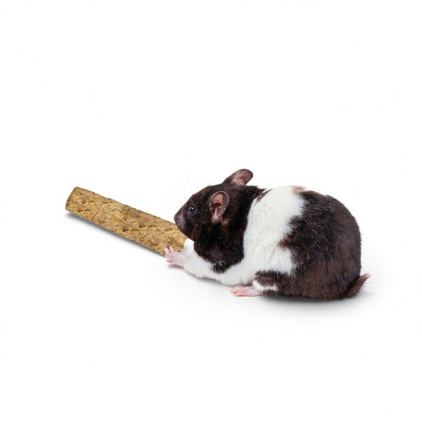 Exotic Nutrition Pet Treats Long Lasting Chew Sticks-5