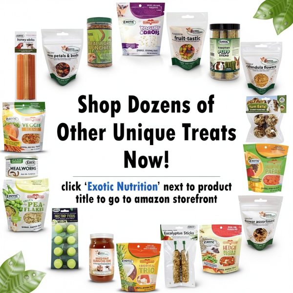 Exotic Nutrition Small Animal Treats Fiber Vitamin C Chew-6