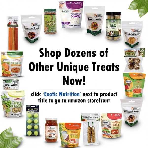 Exotic Nutrition Small Animal Treats Healthy Snack Pet-3