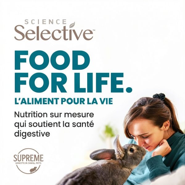Supreme Science Selective Berry Loops Guinea Pig Treats-4