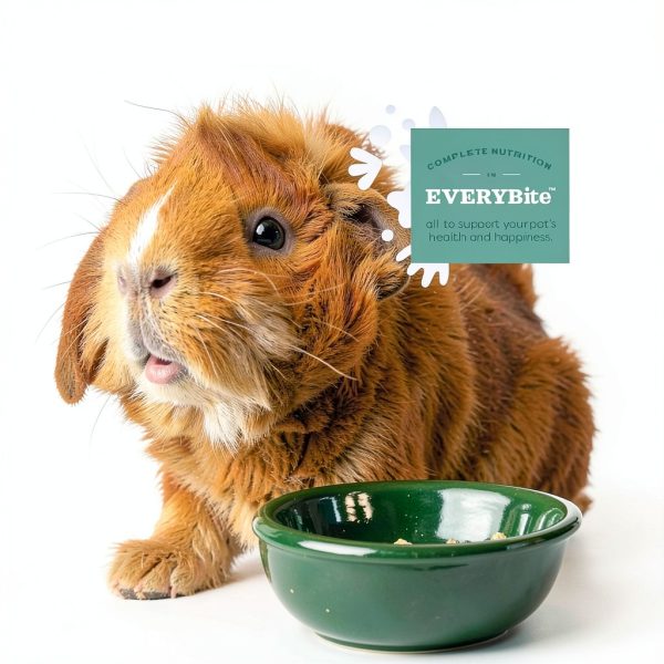 Oxbow Organic Bounty Adult Guinea Pig Food Vitamin C-3